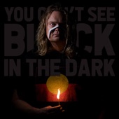 You Cant See Black in the Dark (feat. Ian Kenny) artwork