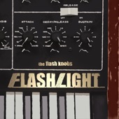 Flash Light artwork
