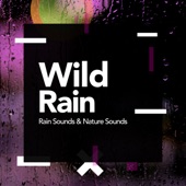 Wild Rain artwork