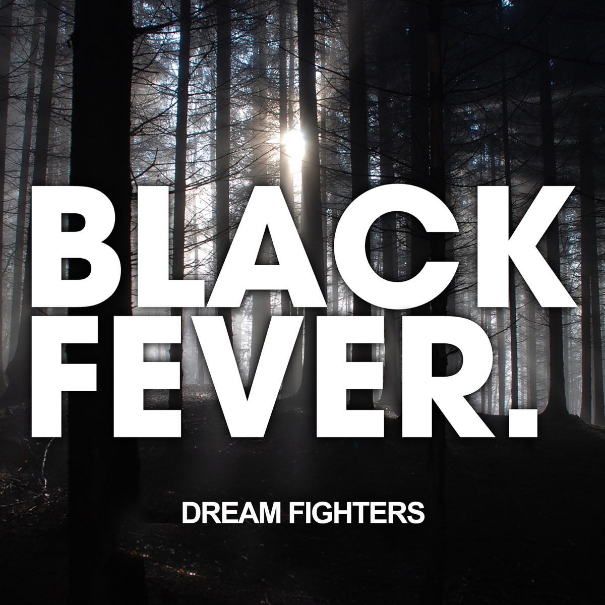 Dream Fighter. Fighter песня. Fever текст. Black Fever.