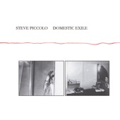 Steve Piccolo - Modern Man