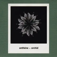 Orchid by Anthené album reviews, ratings, credits