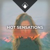 Alex Brandt & Sowlmate - Hot Sensation