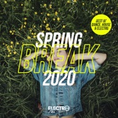 Spring Break 2020 (Best of Dance, House & Electro) artwork