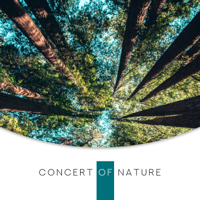 Relaxing Nature Sounds Collection, Oasis of Relaxation Meditation & Calming Water Consort - Concert of Nature: Music Soothing the Body, Mind and Soul artwork