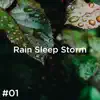 #01 Rain Sleep Storm album lyrics, reviews, download