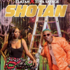 Shotan - Zlatan & Tiwa Savage