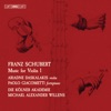 Schubert: Music for Violin, Vol. 1