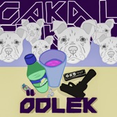 Ödlek artwork