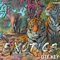 Exotics - OTF Key lyrics
