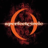 A Perfect Circle - Renholdër