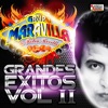 Grandes Éxitos, Vol. 2, 2016