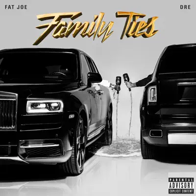 Family Ties - Fat Joe