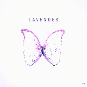 Lavender - Single