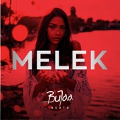 Melek (Instrumental) artwork