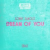 Dream of You - Single