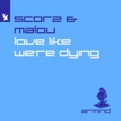 Love Like We're Dying (Extended Mix) artwork