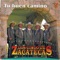 Laura Garza - Los Cinco de Zacatecas lyrics