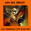 Una Charanga Con Algo Mas - Single