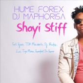 Shayi Stiff (feat. Sjava, TDK Macassete, DJ Buckz, Lui, Tiga Maine & Swaekid De Swear) artwork