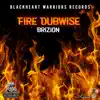 Stream & download Fire Dubwise - Single