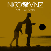 Am I Wrong - Nico &amp; Vinz Cover Art