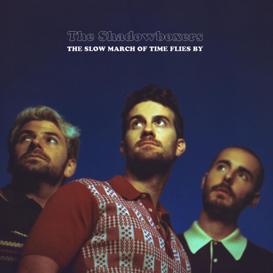 Cover artwork for Won't Ever Say Goodbye