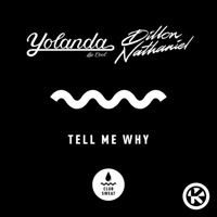 Tell Me Why-Yolanda Be Cool & Dillon Nathaniel