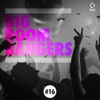 Big Room Bangers, Vol. 16