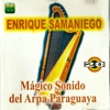 Mágico Sonido del Arpa Paraguaya