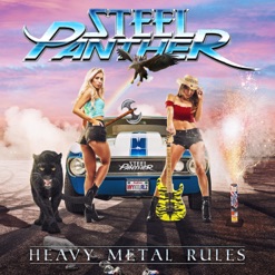 HEAVY METAL RULES cover art