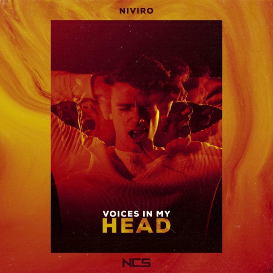 Cover artwork for Voices in My Head
