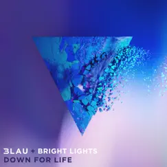 Down For Life - Single by 3LAU & Bright Lights album reviews, ratings, credits