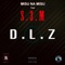 DLZ (feat. S3m) - Misu Na Misu lyrics