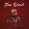 Slow Wind (Amaze Me) - T-Jay lyrics