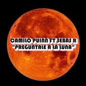 Pregúntale a la Luna (feat. Sebas R) artwork