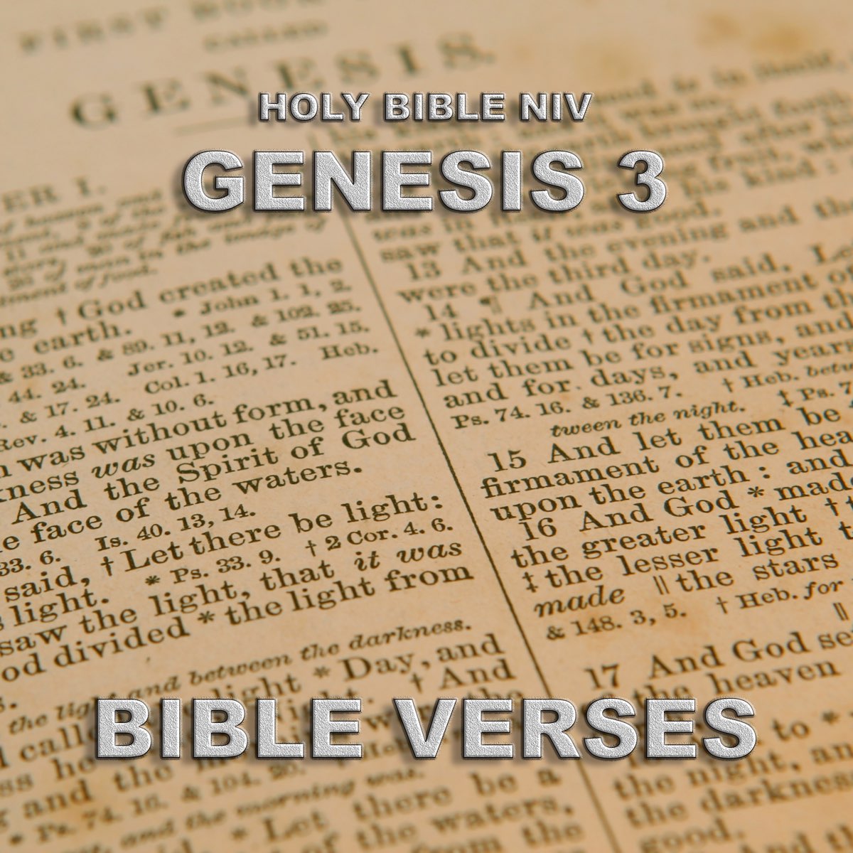 genesis 3 8-9 niv