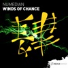 Winds of Chance - Single