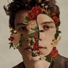Shawn Mendes (Deluxe) artwork