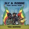 This Morning (feat. Don Camel) [Sly & Robbie vs. Roots Radics] artwork