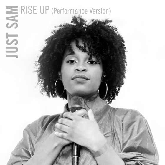 Cover artwork for Rise Up