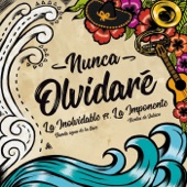 Nunca Olvidaré (feat. La Imponente Vientos de Jalisco) artwork