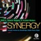 Synergy (StoneBridge Remix) - Sted-E, Hybrid Heights & Crystal Waters lyrics