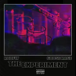 The Experiment - EP by Goose Rage & RODFLY album reviews, ratings, credits
