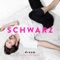 Dream (Schiller Remix) - SCHWARZ lyrics