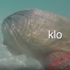 klo - 10h00 am