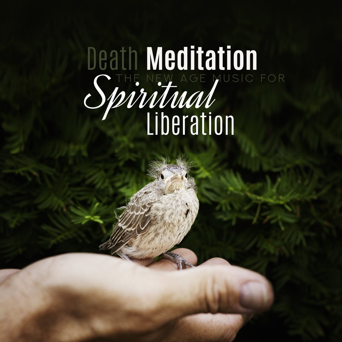 ‎Death Meditation - The New Age Music for Spiritual Liberation ...