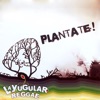 Plantate! Reggae