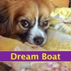 Dream Boat - EP