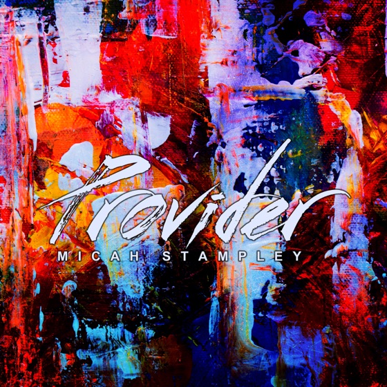 Cover artwork for Provider
